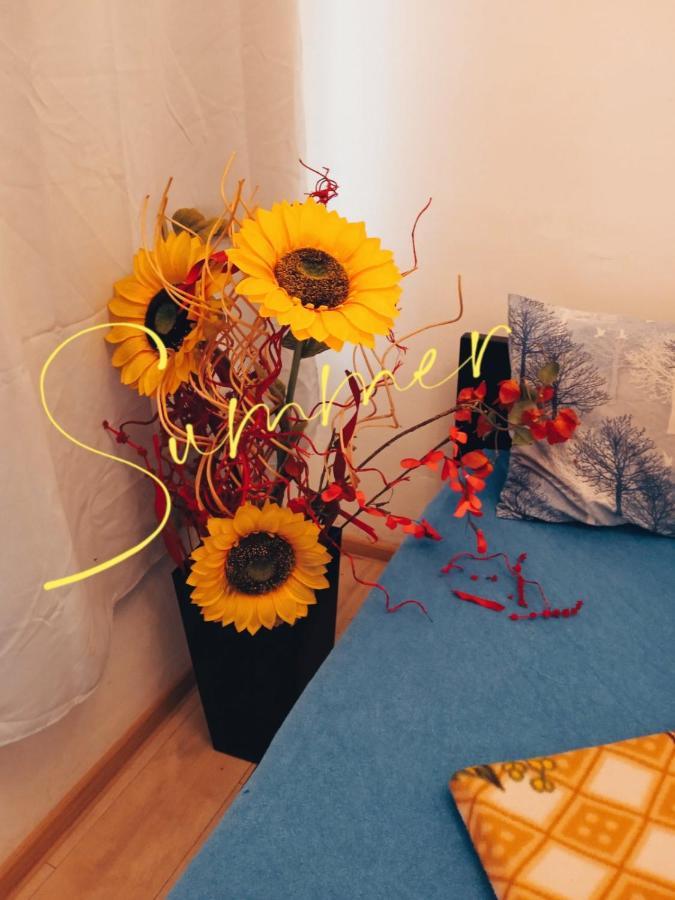 Studio Eva Sajmiste Dış mekan fotoğraf