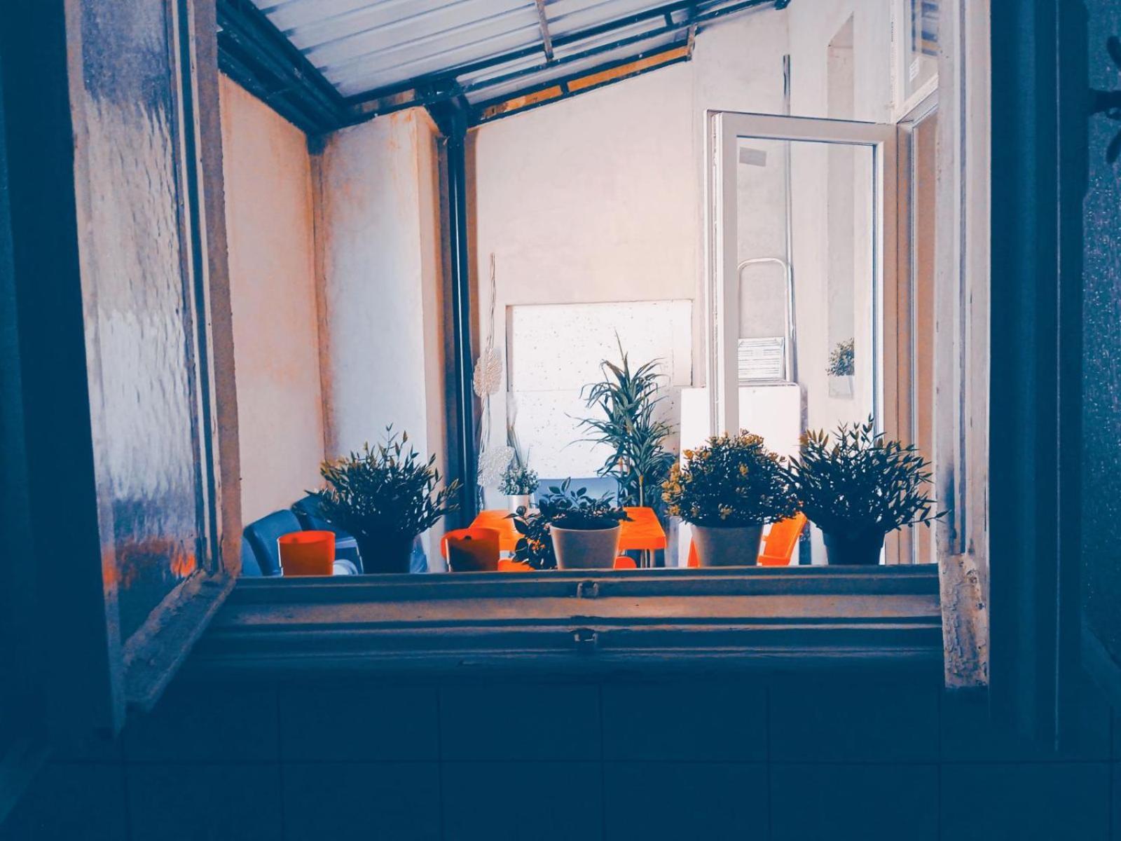 Studio Eva Sajmiste Dış mekan fotoğraf